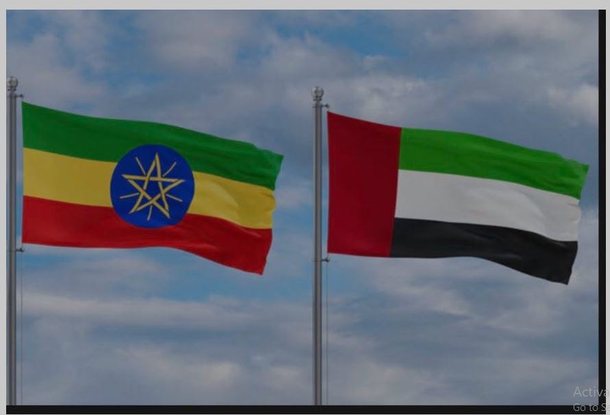 የተባበሩት አረብ ኤምሬቶች ሚኒስትር የኢትዮጵያን ዲጂታል ስኬት አድንቀዋል —የኢትዮ ኮደሮች ኢኒሼቲቭ ወደ 7 ሚሊዮን አድጓል