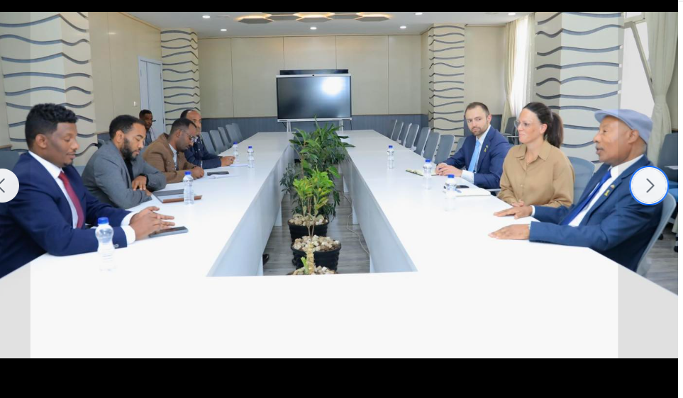 የኢኖቬሽንና ቴክኖሎጂ ሚኒስቴር ከኢትዮጵያ የእስራኤል ኢምባሲ ጋር በጋራ ለመስራት በሚያስችሏቸው ጉዳዮች ላይ መከሩ።