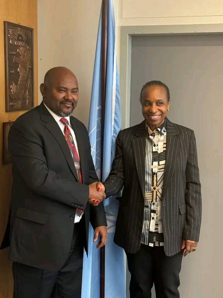 የኢፌዲሪ የኢኖቬሽንና ቴክኖሎጂ ሚኒስትር ዶ/ር በለጠ ሞላ ከተባበሩት መንግስታት የኢንዱስትሪ ልማት ድርጅት አመራሮች ጋር ተወያይተዋል። ==============