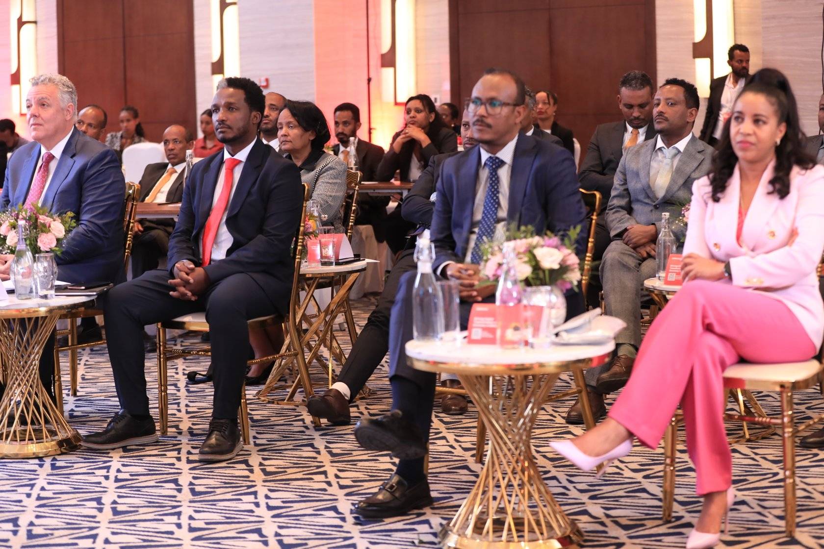 በዲጂታል ዓለም ውስጥ የዜጎችን ፍትሃዊ ተጠቃሚነት ለማረጋገጥ ቅንጅታዊ አሰራር ወሳኝ መሆኑን የኢኖቬሽንና ቴክኖሎጂ ሚኒስትር ዴኤታ ይሽሩን አለማየሁ (ፒ ኤች ዲ) ተናገሩ