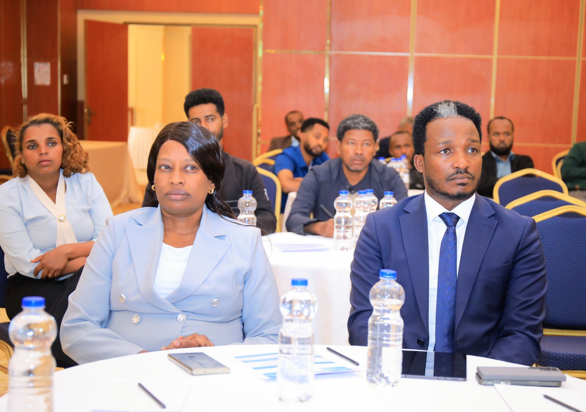 Yishurun Alemayehu (Ph.D) stated that the 10 year e-service roadmap is crucial to provide fair, fast and responsive government services and ensure a digital transformation journey