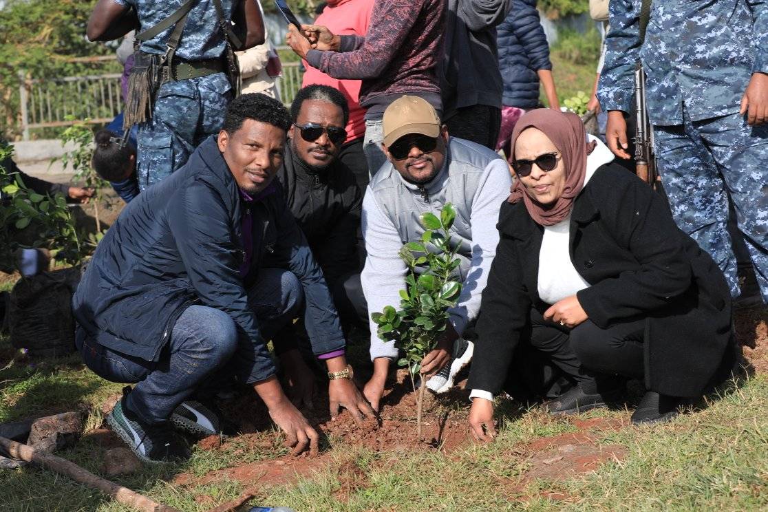 National schedule of 600 million seedlings