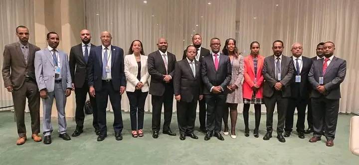 Ethiopia's delegate to the Intergovernmental Assembly